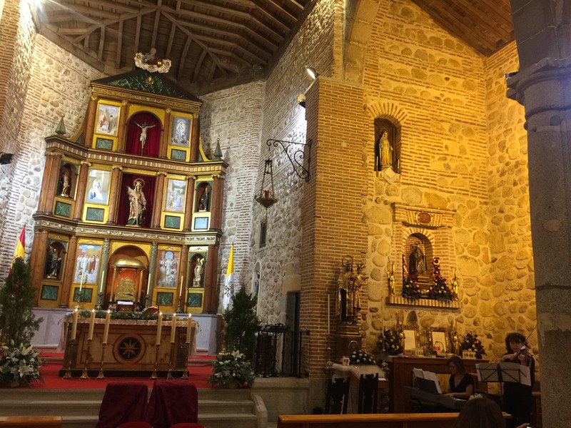 Ars Musicis presta servicio en la subcategoría de  en 