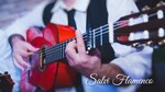 Salvi Flamenco