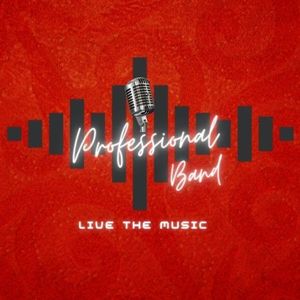 Professional Band presta servicio en la subcategoría de Orquestas, cantantes y grupos en Madrid