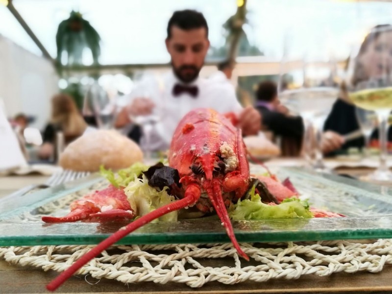 Showcooking Eventos presta servicio en la subcategoría de  en 