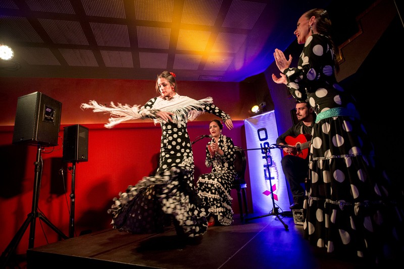 Flamenco Dorao presta servicio en la subcategoría de  en 