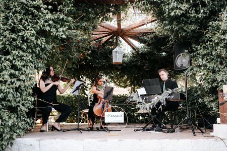 Deamare presta servicio en la subcategoría de Orquestas, cantantes y grupos en Madrid