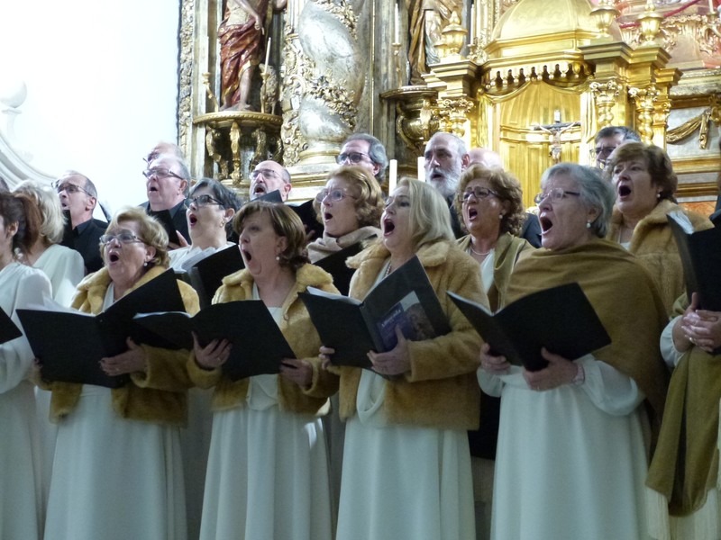 CORAL TABAQUERA ALICANTINA presta servicio en la subcategoría de  en 