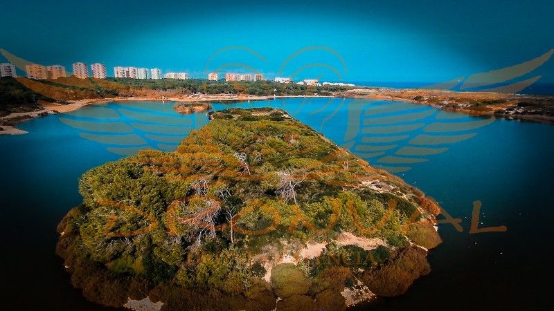 DRONVAL - Drones Valencia presta servicio en la subcategoría de  en 