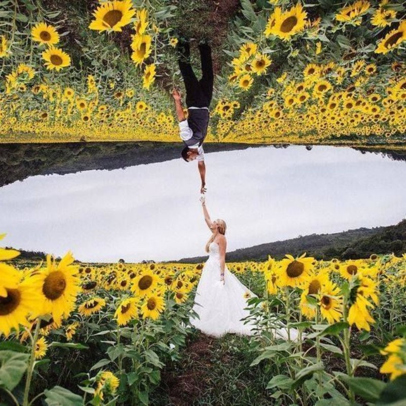 Ceresdrone.com presta servicio en la subcategoría de  en 