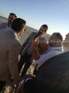 De castaño oscuro presta servicio en la subcategoría de Flamenco y Coros Rocieros en Sevilla