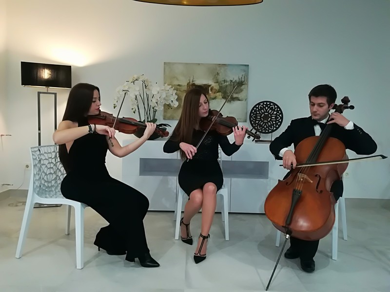 Symphony presta servicio en la subcategoría de  en 