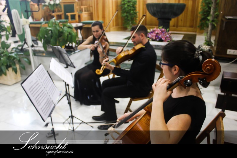 Sehnsucht Agrupaciones presta servicio en la subcategoría de  en 