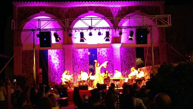 Audiovisuales Guadalhorce presta servicio en la subcategoría de  en 