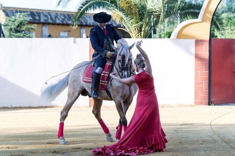 ROYAL VIP - HISPATAURO presta servicio en la subcategoría de  en 