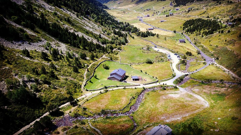 Dmdron presta servicio en la subcategoría de  en 