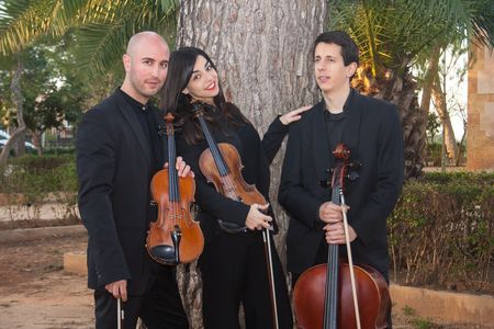 Harmònic presta servicio en la subcategoría de Música clásica, Ópera y Coros en Valencia