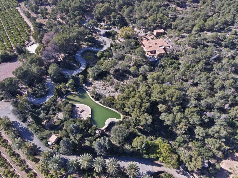 DRON&CO presta servicio en la subcategoría de  en 