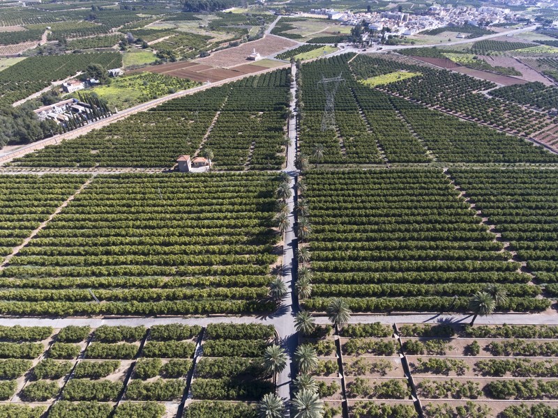 DRON&CO presta servicio en la subcategoría de  en 