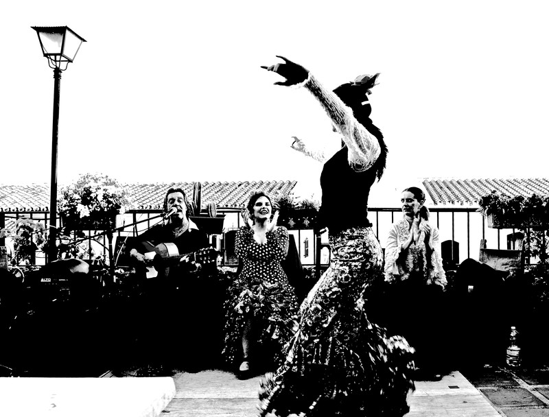 Flamenco La Caoba presta servicio en la subcategoría de  en 