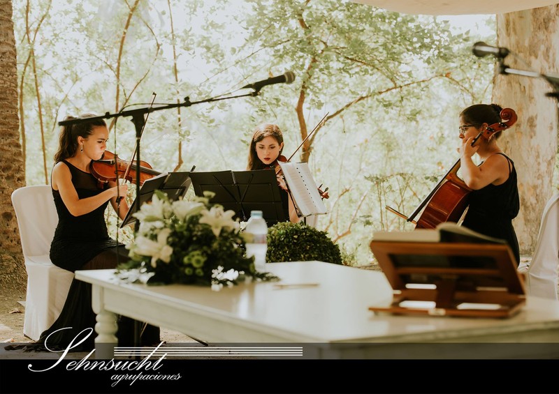 Sehnsucht Agrupaciones presta servicio en la subcategoría de  en 