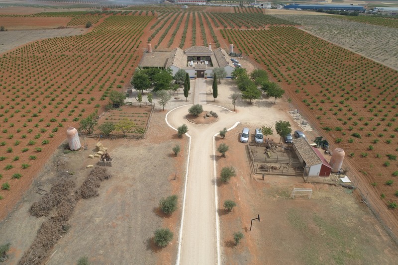 ELEVON DRONES presta servicio en la subcategoría de  en 