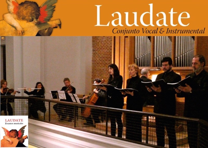 Laudate presta servicio en la subcategoría de  en 