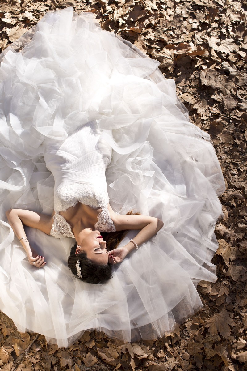 Serrano Fotógrafos presta servicio en la subcategoría de  en 