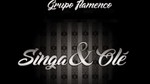 Empresa de Flamenco y Coros Rocieros en Sevilla Singa&Olé