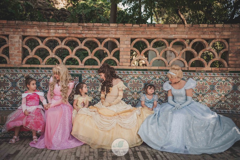 Érase una Vez Animaciones presta servicio en la subcategoría de  en 