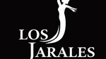 Cuadro flamenco los Jarales