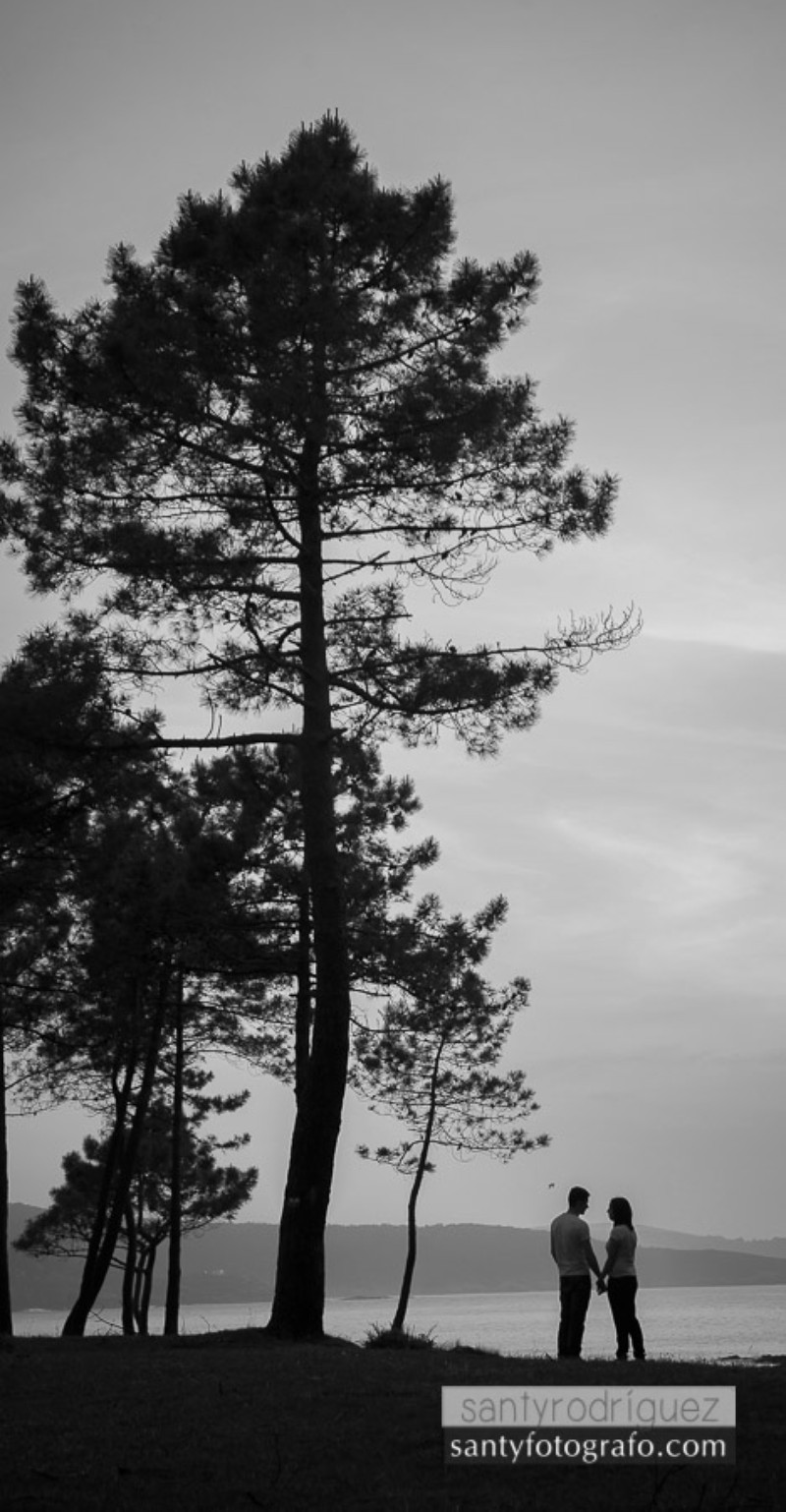 Santy Rodrĺguez presta servicio en la subcategoría de  en 