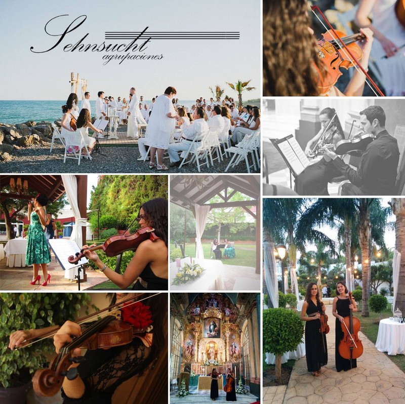 Sehnsucht Agrupaciones presta servicio en la subcategoría de  en 