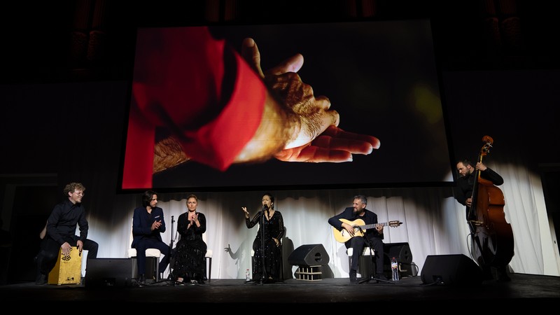 Flamenco Dorao presta servicio en la subcategoría de  en 