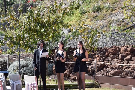 OP.33 Eventos Musicales presta servicio en la subcategoría de Orquestas, cantantes y grupos en Las Palmas
