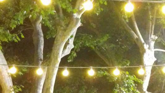 FyVMatón presta servicio en la subcategoría de Fotomatón y Photocall en Málaga