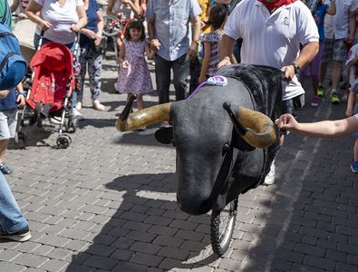 José Nava presta servicio en la subcategoría de Fotógrafos fiestas, comuniones o bautizos en Madrid