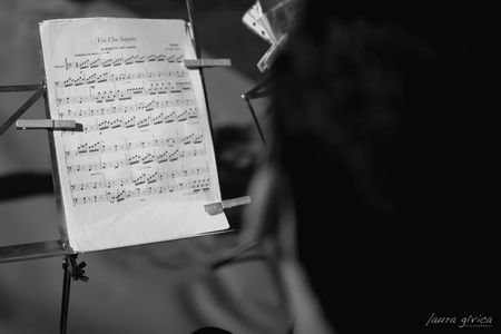 Capilla Musical María Auxiliadora presta servicio en la subcategoría de Música clásica, Ópera y Coros en Sevilla