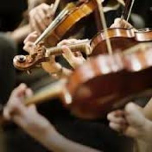 Allegri presta servicio en la subcategoría de Música clásica, Ópera y Coros en Vizcaya