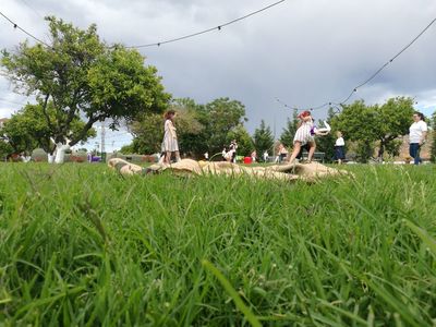 Somriures presta servicio en la subcategoría de Animadores infantiles en Valencia