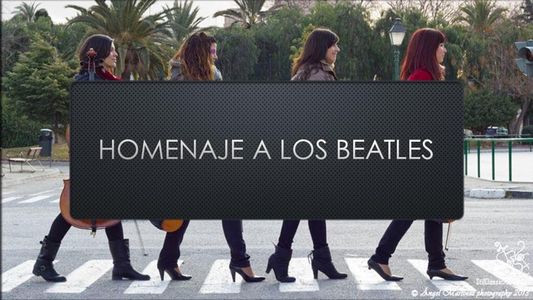 StilClassic presta servicio en la subcategoría de Música clásica, Ópera y Coros en Valencia